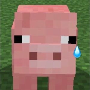 Meet your Posher, Dylan